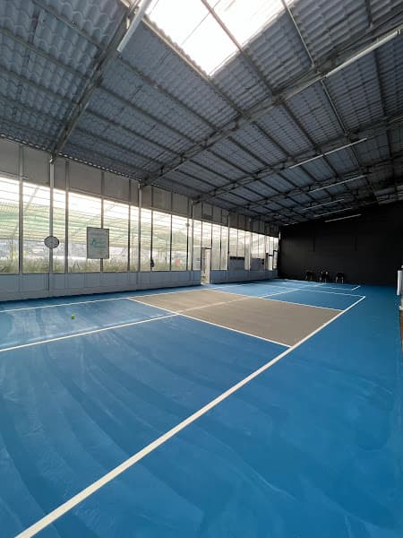 DiLa pickleball and badminton