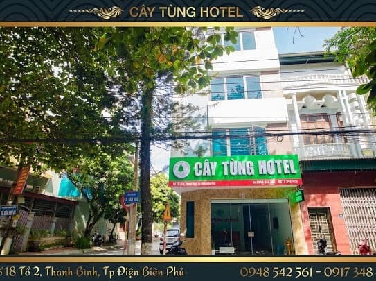 Cây tùng hotel