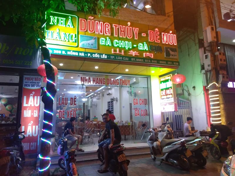 Ảnh bìa Dũng Thủy Dê Núi