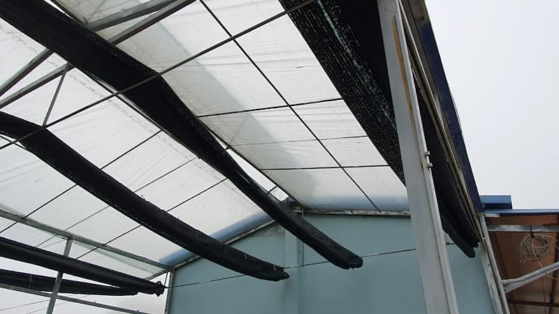 Hình ảnh Công Ty Cổ Phần Chè Chiềng Đi - 2