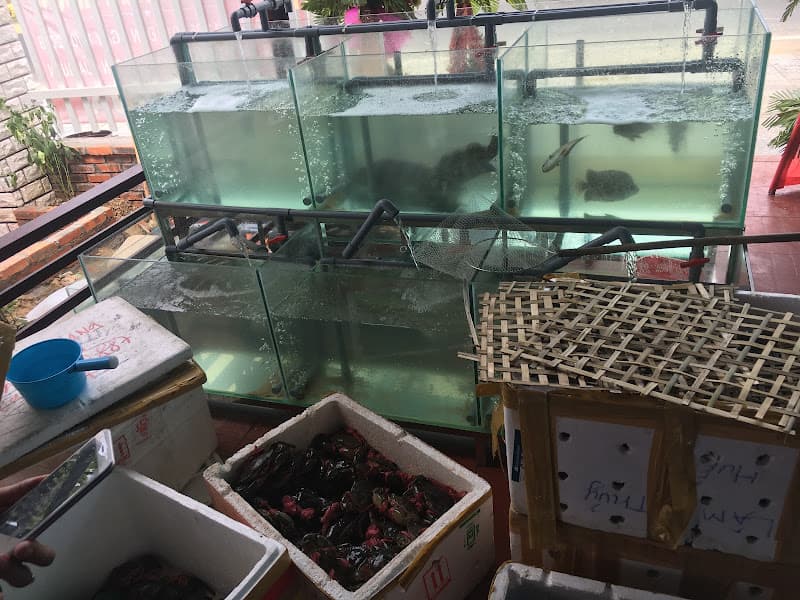 Hình ảnh Nhà hàng hải sản Ú Cua - 5
