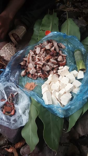 Ảnh bìa Nhà Hát Lớn