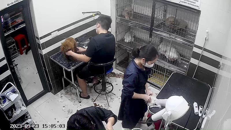 Hình ảnh Cửa Hàng Phụ Kiện Chó Mèo Thanh Nhàn - 6