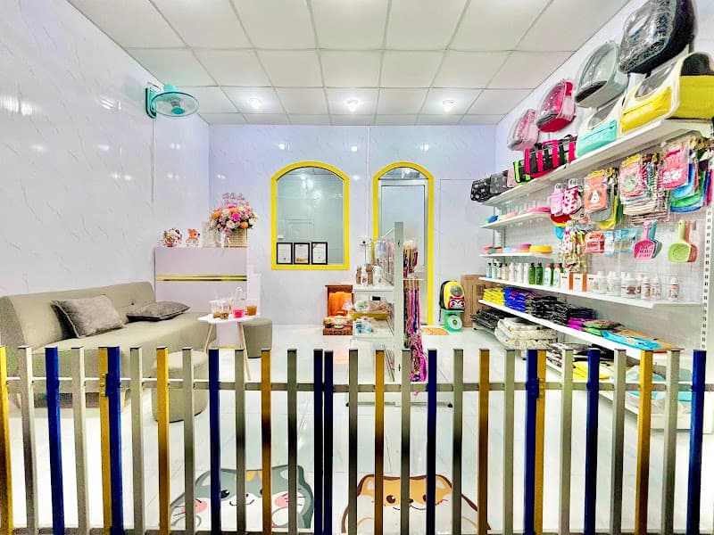 Hình ảnh Bông Pet House - Spa Thú Cưng Tiểu Cần - 4