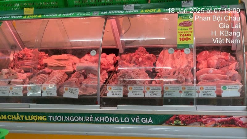 Hình ảnh Bách Hóa Xanh Kbang - Phan Bội Châu - 4