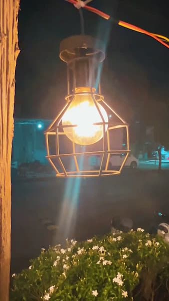 Hình ảnh La coffee ( Lá coffee) - 3