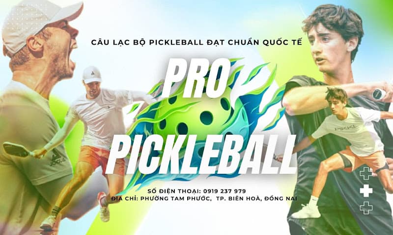 Hình ảnh Pickleball Pro - 3