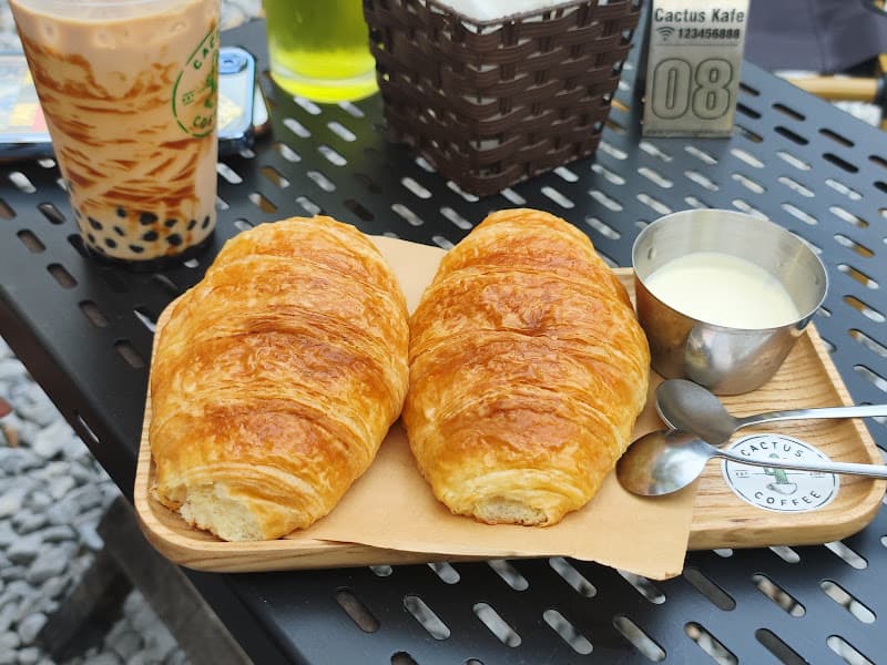 Hình ảnh Cactus Phan Chu Trinh - 6