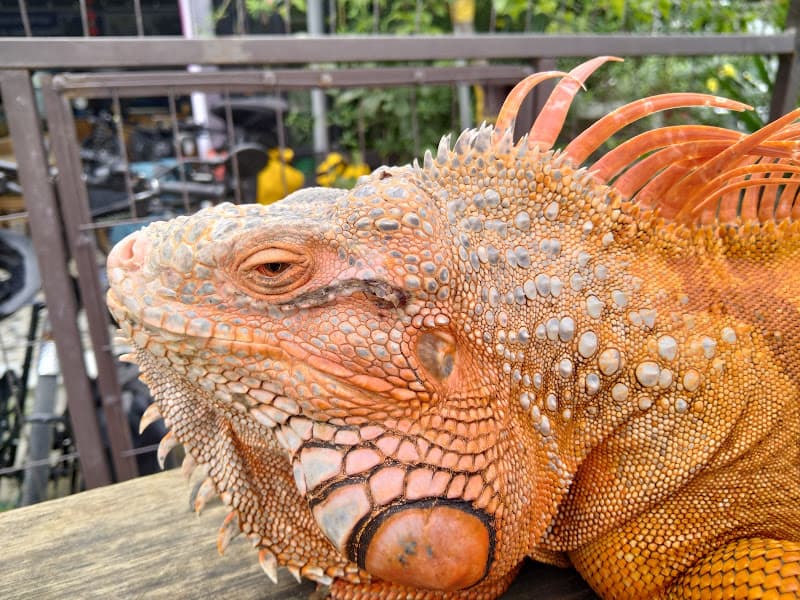 Hình ảnh Quán Bống - Hải Sản Tươi Sống - 2