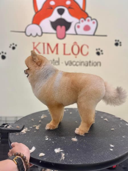 Hình ảnh Kim Lộc Pet - 4