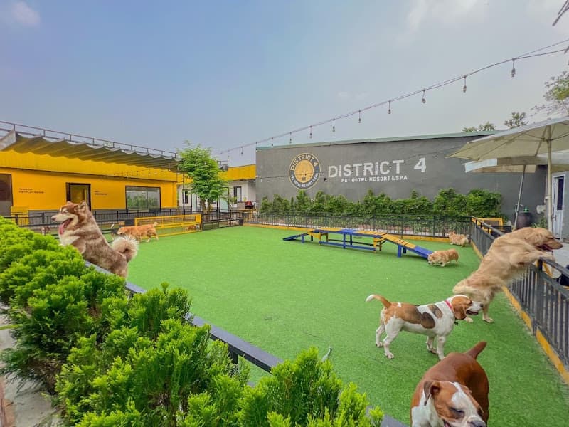 Hình ảnh District 4 Pet Hotel Resort & Spa - 3