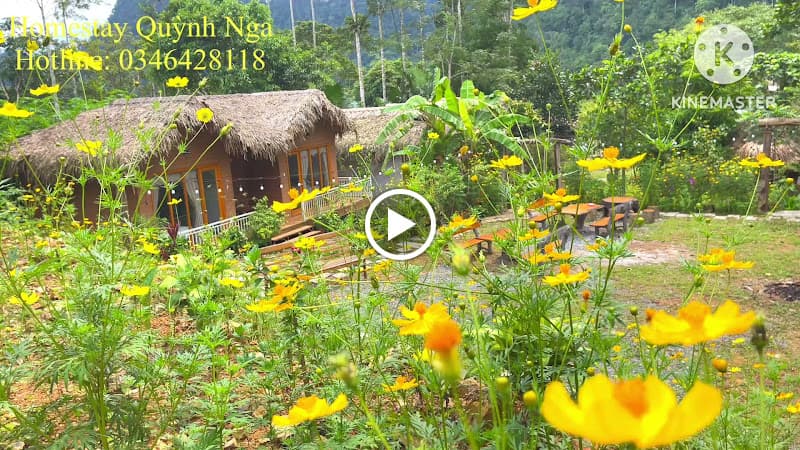 Hình ảnh Quynh Nga homestay - Xuan Son National Garden - 4