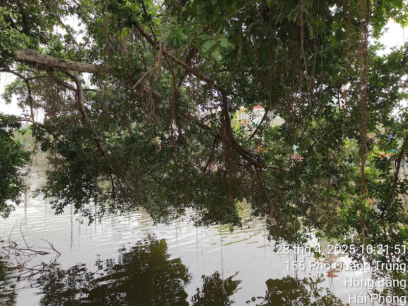 Hình ảnh Phố đi bộ Hải Phòng - 3