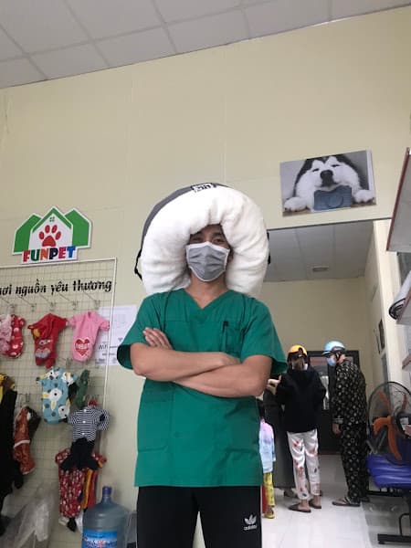 Hình ảnh SAOvet Hải Phòng - 4