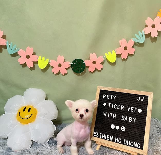 Hình ảnh Thú Y TigerVet - 3