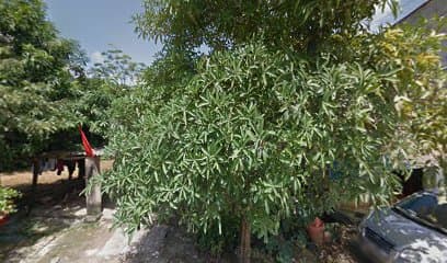 Ảnh bìa Trà sữa Trang house