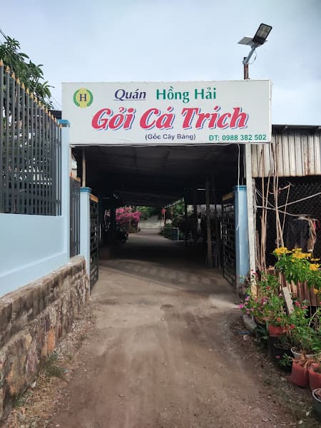 Quán Hồng Hải (Cây Bàng) Gỏi Cá Trích