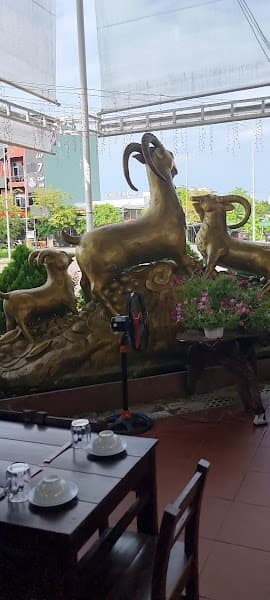 Hình ảnh Dê Ré Cao Nguyên - 2