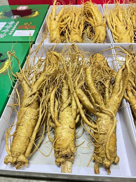 Hình ảnh Cửa Hàng Yến Vàng - 6