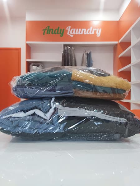Hình ảnh Andy Laundry - 4