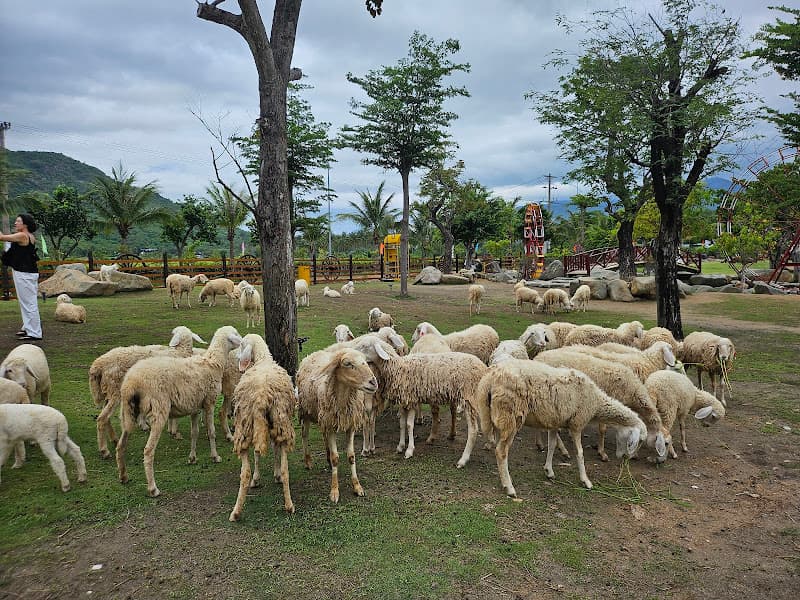 Hình ảnh Khu rừng cổ tích - 4