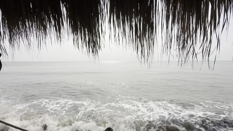 Hình ảnh Sân Pickleball và Tennis FLC Sầm Sơn - 3