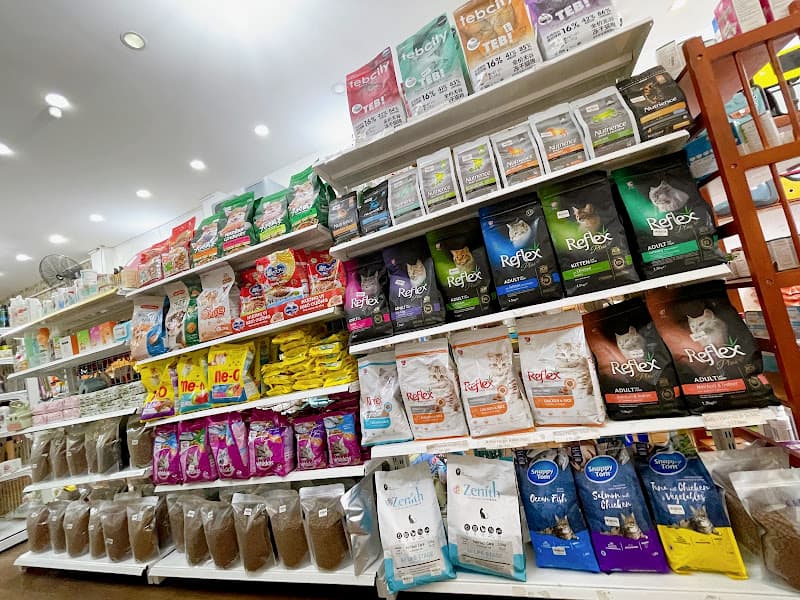 Ảnh bìa SamSam Petshop_Spa Hotel Chó Mèo_ Petshop Bình Thạnh