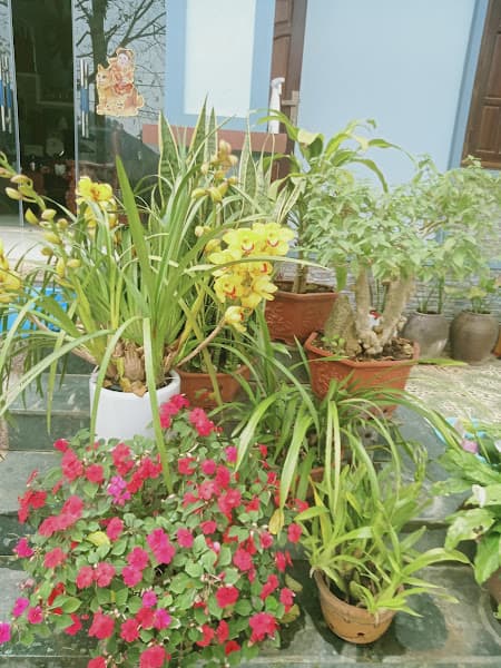 Hình ảnh Mật ong rừng Sơn La Vượng Thúy - 2