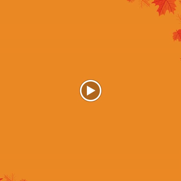 Hình ảnh THẾ GIỚI ĐI ĐỘNG HIỆU MOBILE - 2