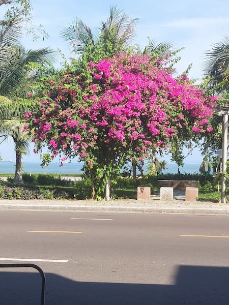 Hình ảnh Ăn Vặt Say - 3