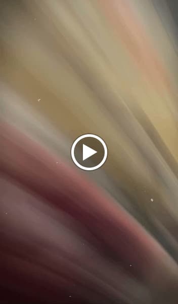 Hình ảnh Chung Cafe Muối 36 _ 299 Trần phú - 4