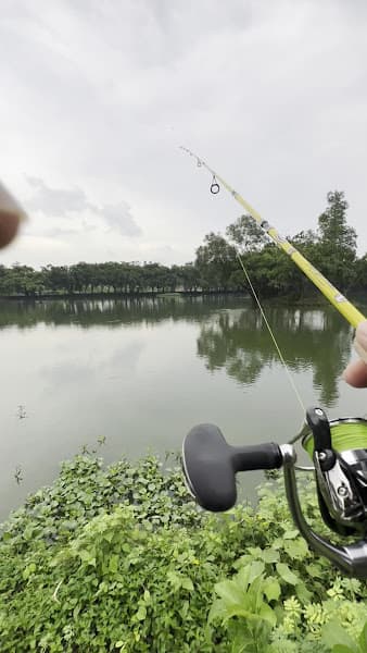 Hình ảnh LADY FISHING • Hồ Câu Cá • Dịch Vụ Giải Trí - 2
