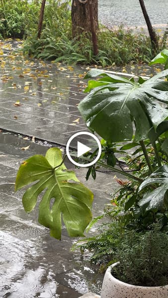 Hình ảnh MER Ecopark - 4