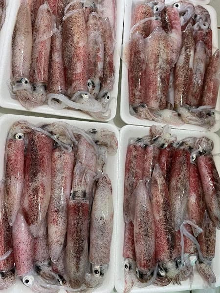 Hình ảnh Hải sản tươi sống - 10 Thu - 5