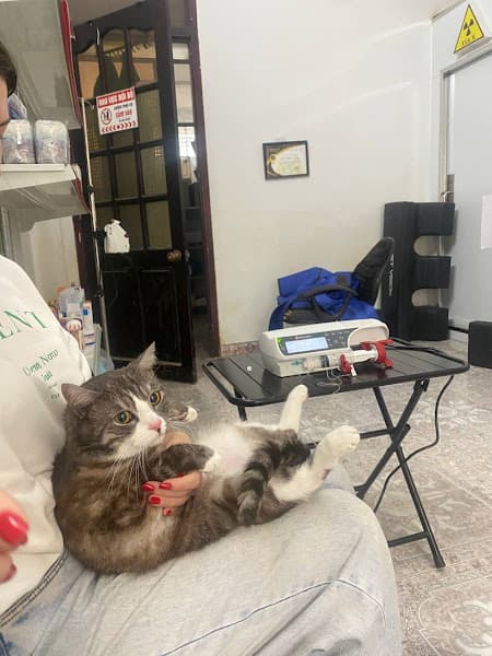 Phòng khám thú y DR THÁI ĐĂNG