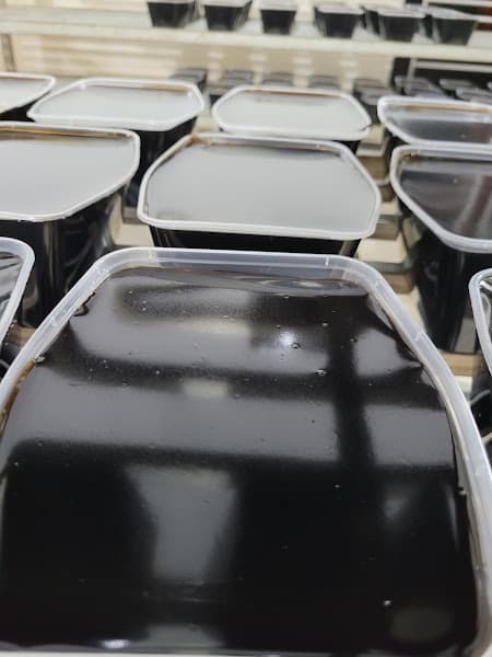 Hình ảnh Cửa hàng thạch đen Su Hào - 2