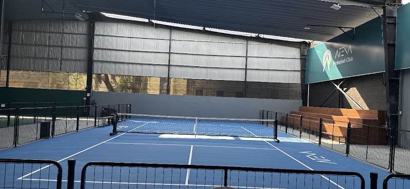 Hình ảnh ATENA Pickleball - 2