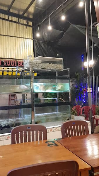 Hình ảnh Nhà Hàng Hải Sản Ốc Nhung - 4