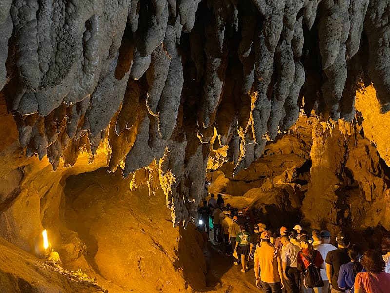 Ảnh bìa Động Ngườm Ngao