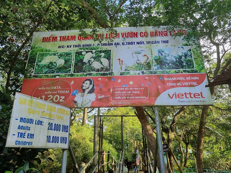 Hình ảnh Vườn Cò Bằng Lăng - 5