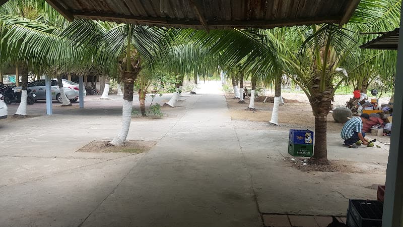 Hình ảnh Quán Hoa Bằng Lăng - 3