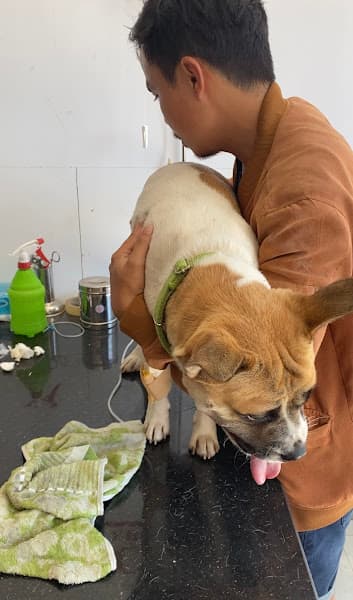 Hình ảnh Pkty CO.PET - 2