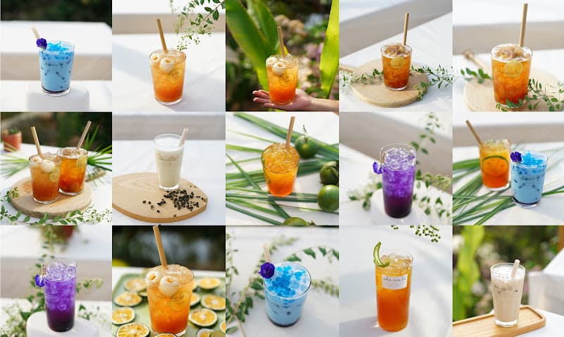 Hình ảnh Nhà Của Lá - 4