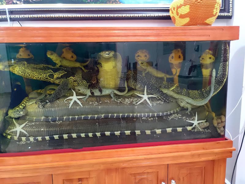 Hình ảnh Nhà hàng Mạnh Hùng - 3