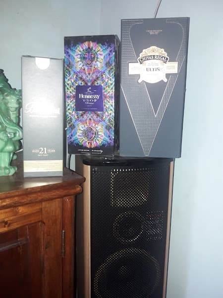 Hình ảnh Trại Chó Minh Hiếu - 4