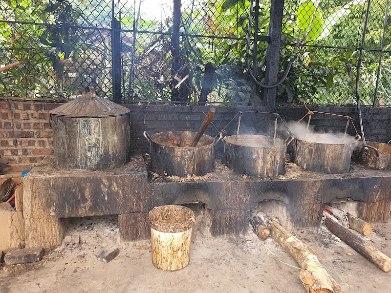 Hình ảnh Cửa hàng thạch đen Su Hào - 5