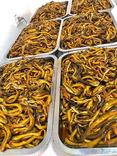 Hình ảnh Quán Súp Lươn Thành Nghệ An - 3