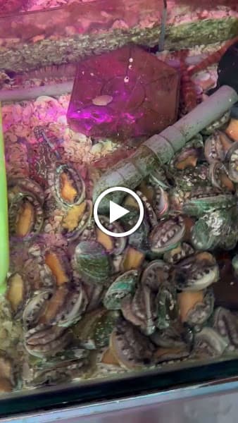 Hình ảnh Hải sản ba miền Tuyên Quang - 2