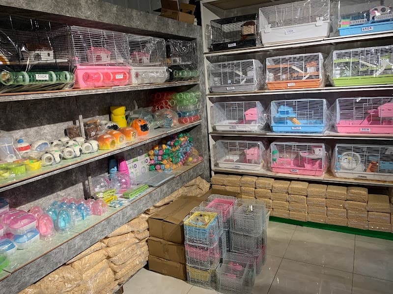 Hình ảnh HAMSTER PET STORE - 2
