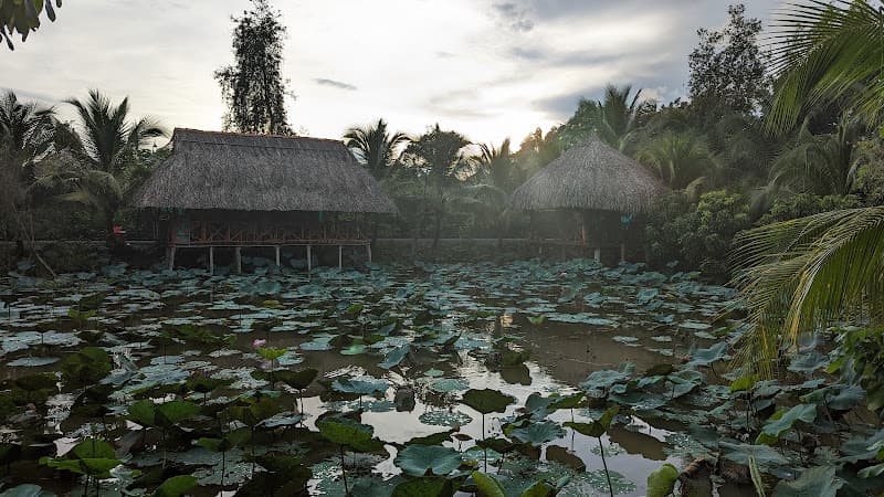 Hình ảnh Khu Ẩm Thực Tràm Sen - 2